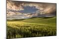 Premium Photographic Print