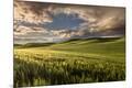 Premium Photographic Print