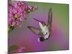 Premium Photographic Print