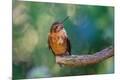 Photographic Print