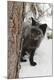 Premium Photographic Print