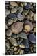 Premium Photographic Print