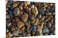 Premium Photographic Print