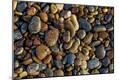 Premium Photographic Print