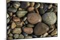 Premium Photographic Print
