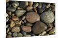 Premium Photographic Print