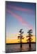Premium Photographic Print
