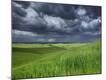 Premium Photographic Print