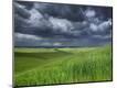 Photographic Print