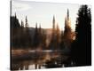 Stretched Canvas Print