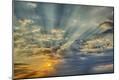 Premium Photographic Print
