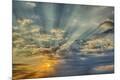 Premium Photographic Print
