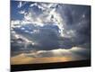 Photographic Print