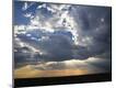 Photographic Print