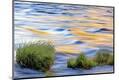 Premium Photographic Print