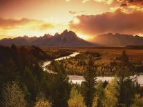 Iris and Lupine Garden and Teton Range at Oxbow Bend, Wyoming, USA-Adam Jones-Photographic Print