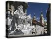 Stretched Canvas Print