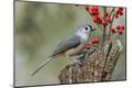 Photographic Print