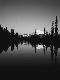 Premium Photographic Print