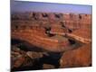 Premium Photographic Print