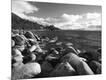 Photographic Print