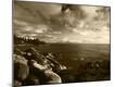 Premium Photographic Print