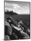 Photographic Print