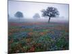 Premium Photographic Print