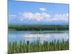 Photographic Print