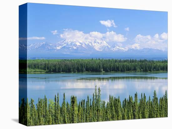 Stretched Canvas Print, , large