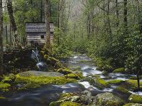 Watermill in Forest by Stream, Roaring Fork, Great Smoky Mountains National Park, Tennessee, USA-Adam Jones-Photographic Print
