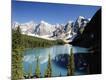 Photographic Print