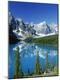 Photographic Print
