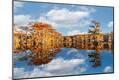 Photographic Print