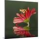 Premium Photographic Print
