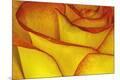 Premium Photographic Print