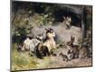 Giclee Print