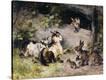 Stretched Canvas Print