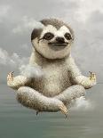 Sloth Meditating-Adam Lawless-Photographic Print