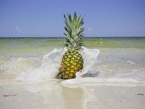 South Florida Pineapple IV-Adam Mead-Framed Photographic Print