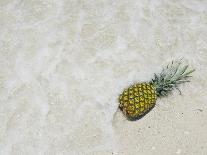 South Florida Pineapple V-Adam Mead-Framed Photographic Print
