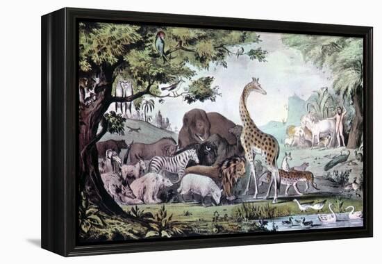 Adam Naming the Creatures, 1847-Nathaniel Currier-Framed Premier Image Canvas