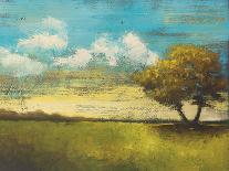Low Country Landscape II-Adam Rogers-Framed Art Print