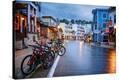 Stretched Canvas Print