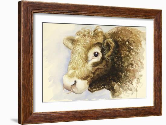 Adam the Bull, 2016-Alison Cooper-Framed Giclee Print