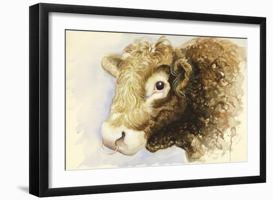 Adam the Bull, 2016-Alison Cooper-Framed Giclee Print