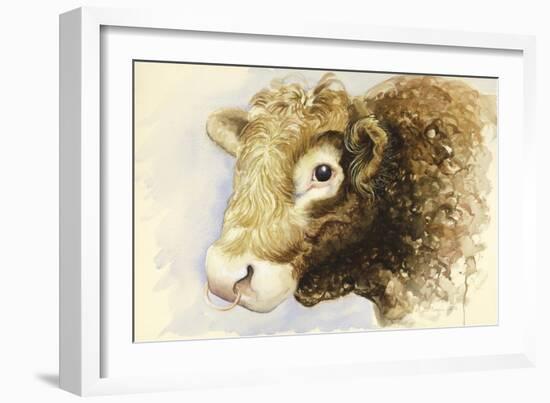 Adam the Bull, 2016-Alison Cooper-Framed Giclee Print