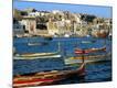 Photographic Print
