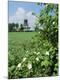 Premium Photographic Print