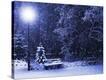 Stretched Canvas Print